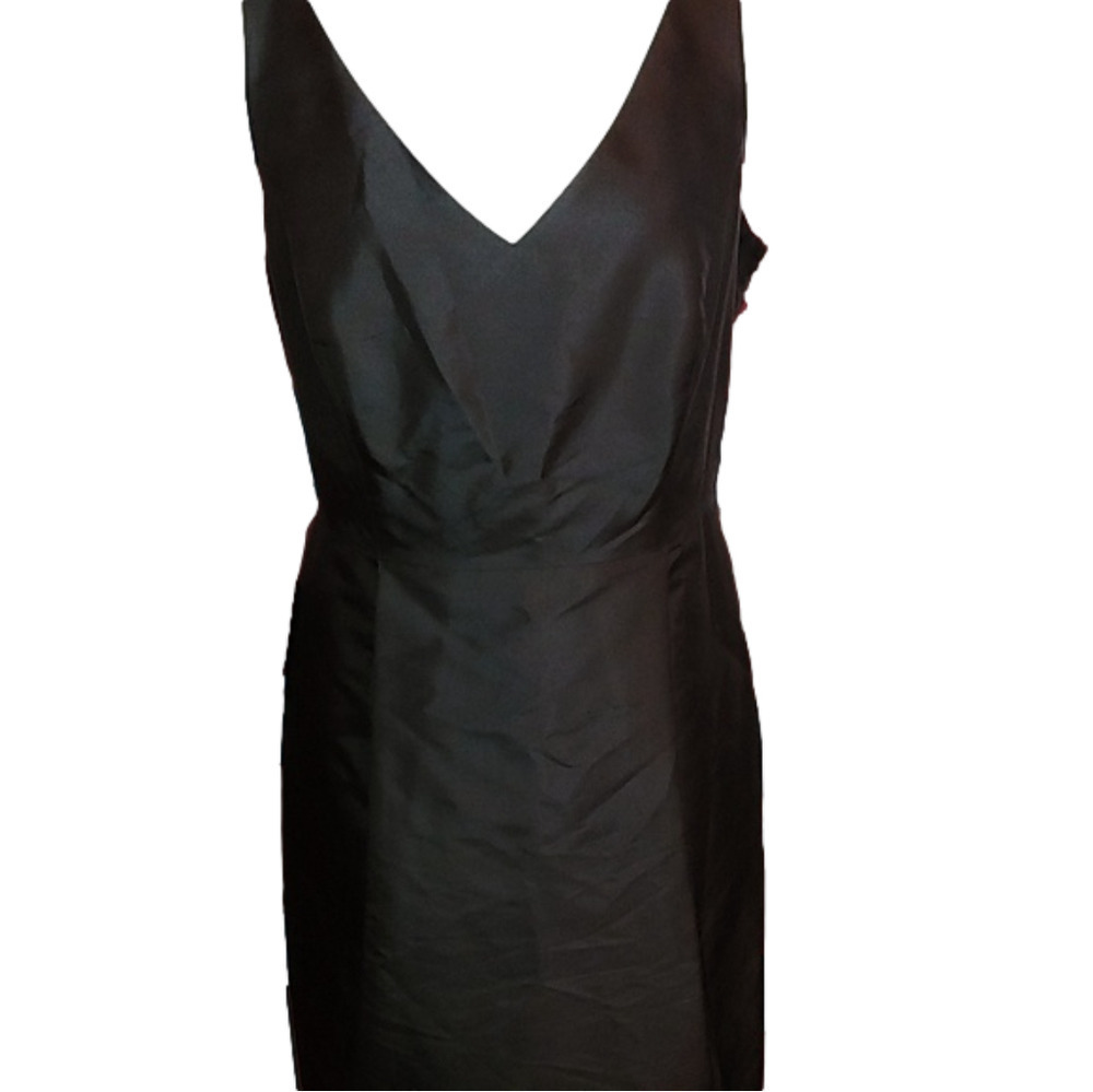 NWT Ann Taylor Brown Silk Dress 10